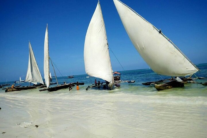 Zanzibar Full Day Mnemba Island, Nungwi and Kendwa Beach Tour - Image 5