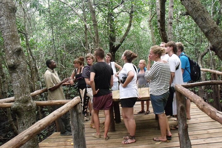 Zanzibar Jozani Jungle-Nature Walk - Image 3