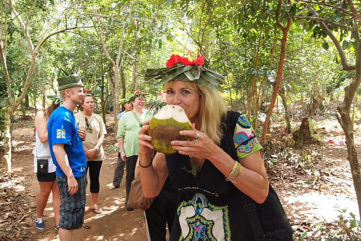 Zanzibar Shore Excursion - City Tour | Spice Tour | Jozani Forest ( 3 in One ) - Image 4