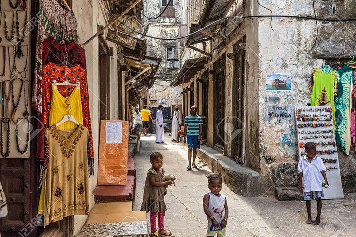 Zanzibar Shore Excursion - City Tour | Spice Tour | Jozani Forest ( 3 in One ) - Image 3