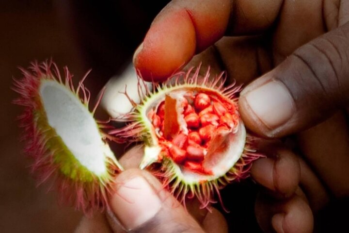 Zanzibar Spice Tour, Kuza Cave Tour, The Rock Restaurant, Kae Funk Sunset Beach - Image 4