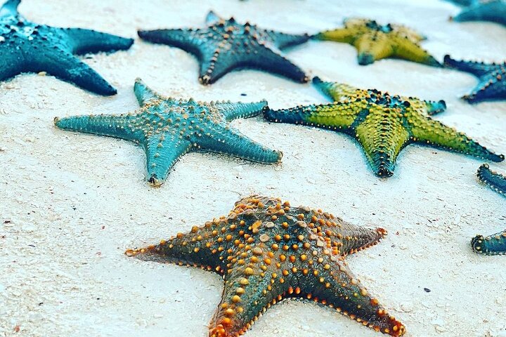 Zanzibar Starfish Adventure; Blue Lagoon; The Rock; Kuza Cave; Paje Beach Tour - Image 2