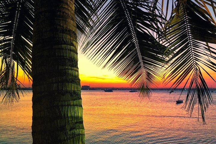 Zanzibar Sunset Dhow Cruise with Transfers. - Image 5