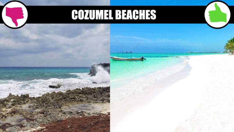 Cozumel Rocky vs Sandy Beaches