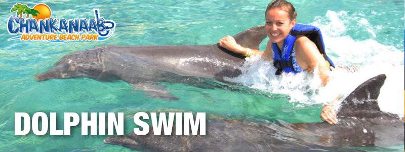 Chankanaab Dolphin Swim Excursion