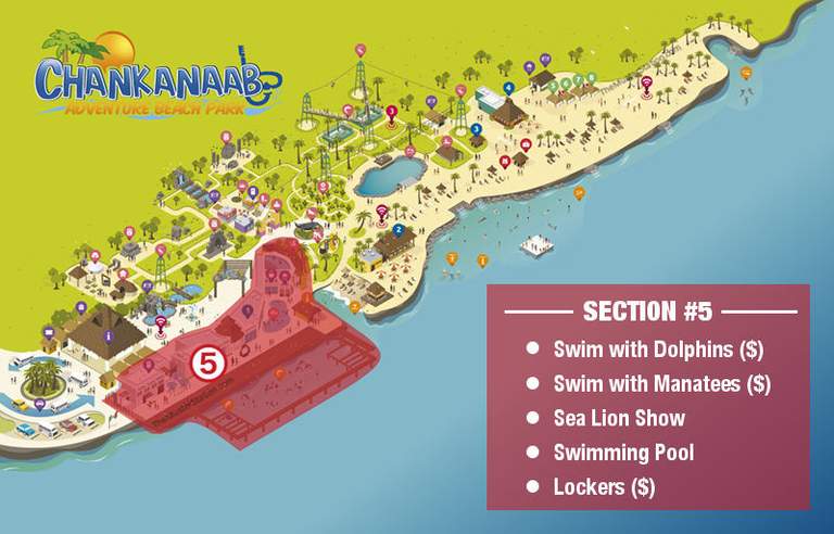 Map of Chankanaab Beach Dolphin Manatee and Sea Lion Show