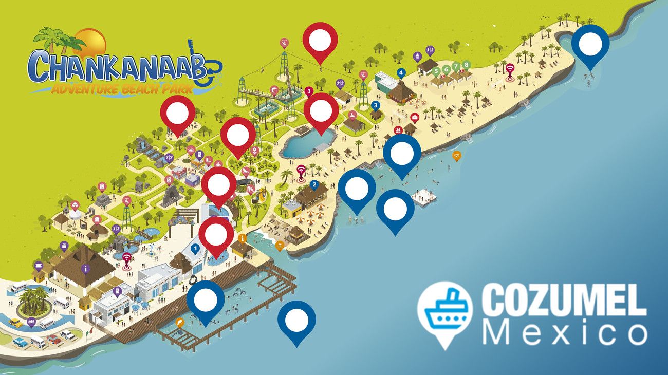 6 Best Chankanaab Beach Shore Excursions [2025]