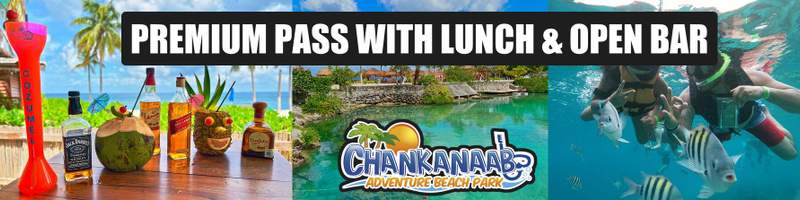 Chankanaab Manatee Excursion