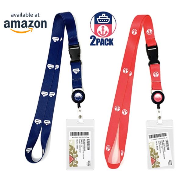 Lanyard with Key Card Holder, Reel, Buckle, etc