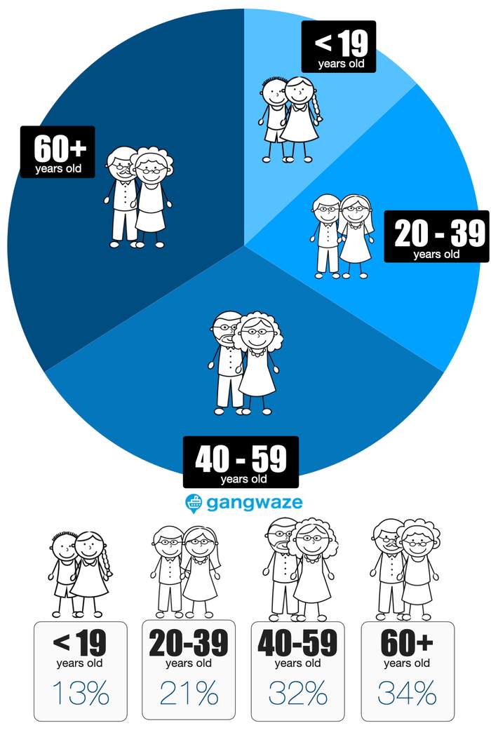 Cruise Passenger Average Age Pie Chart Cruise Passenger Average Age Pie Chart
