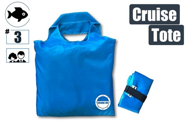 #3 - Travel Tote