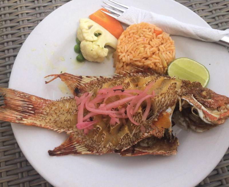 Mr Sanchos Food Photo