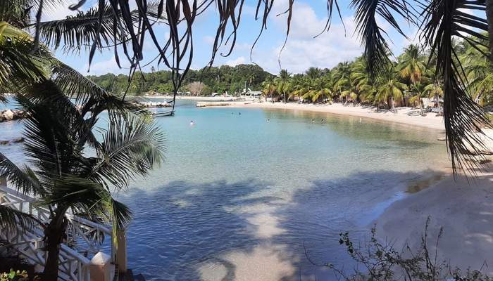 Coco Reef Resort for a Day Pass