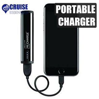#17 - Portable Charger