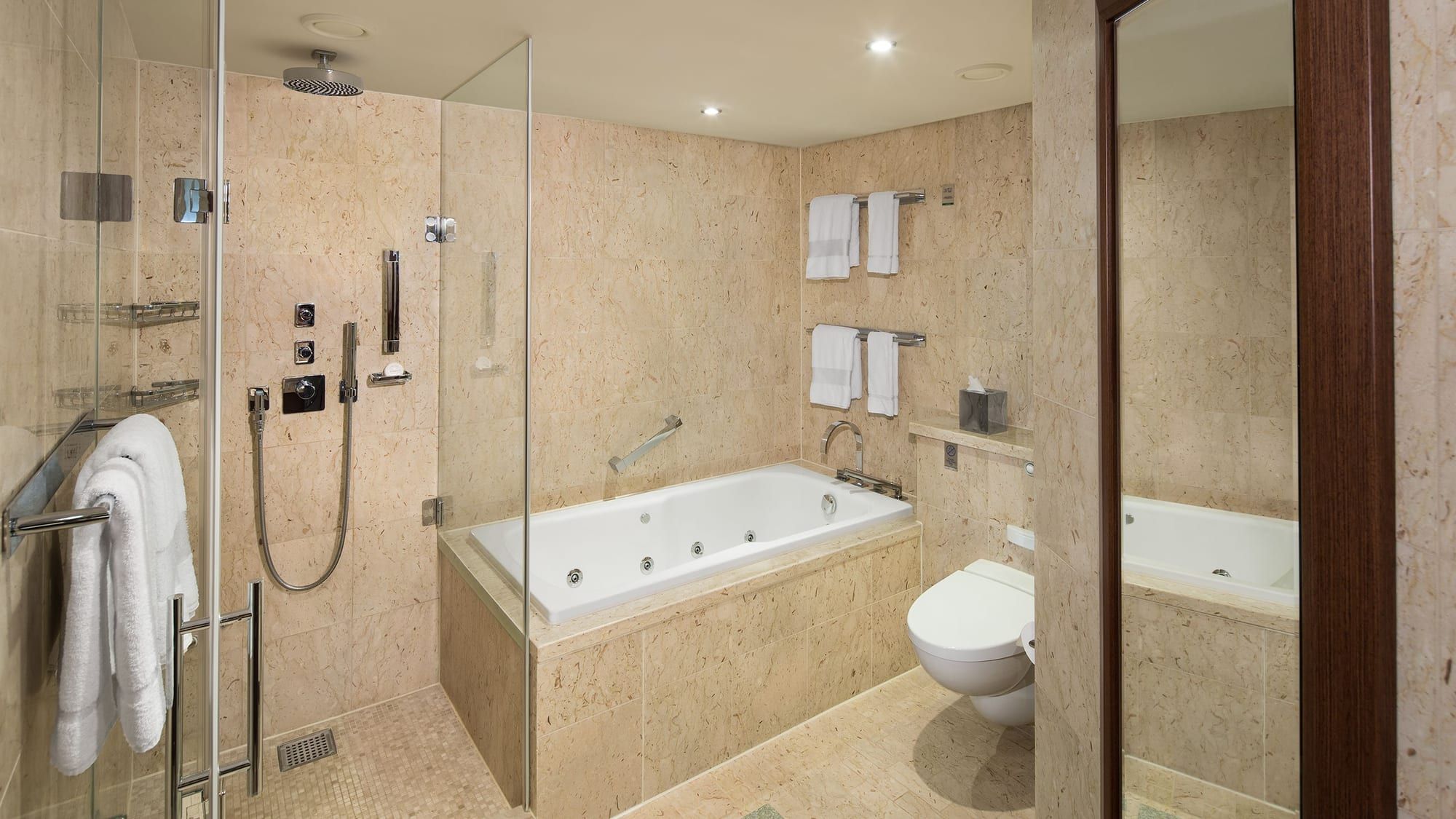 Celebrity Equinox Royal Suite (RS) bathroom, photo 1 of 2