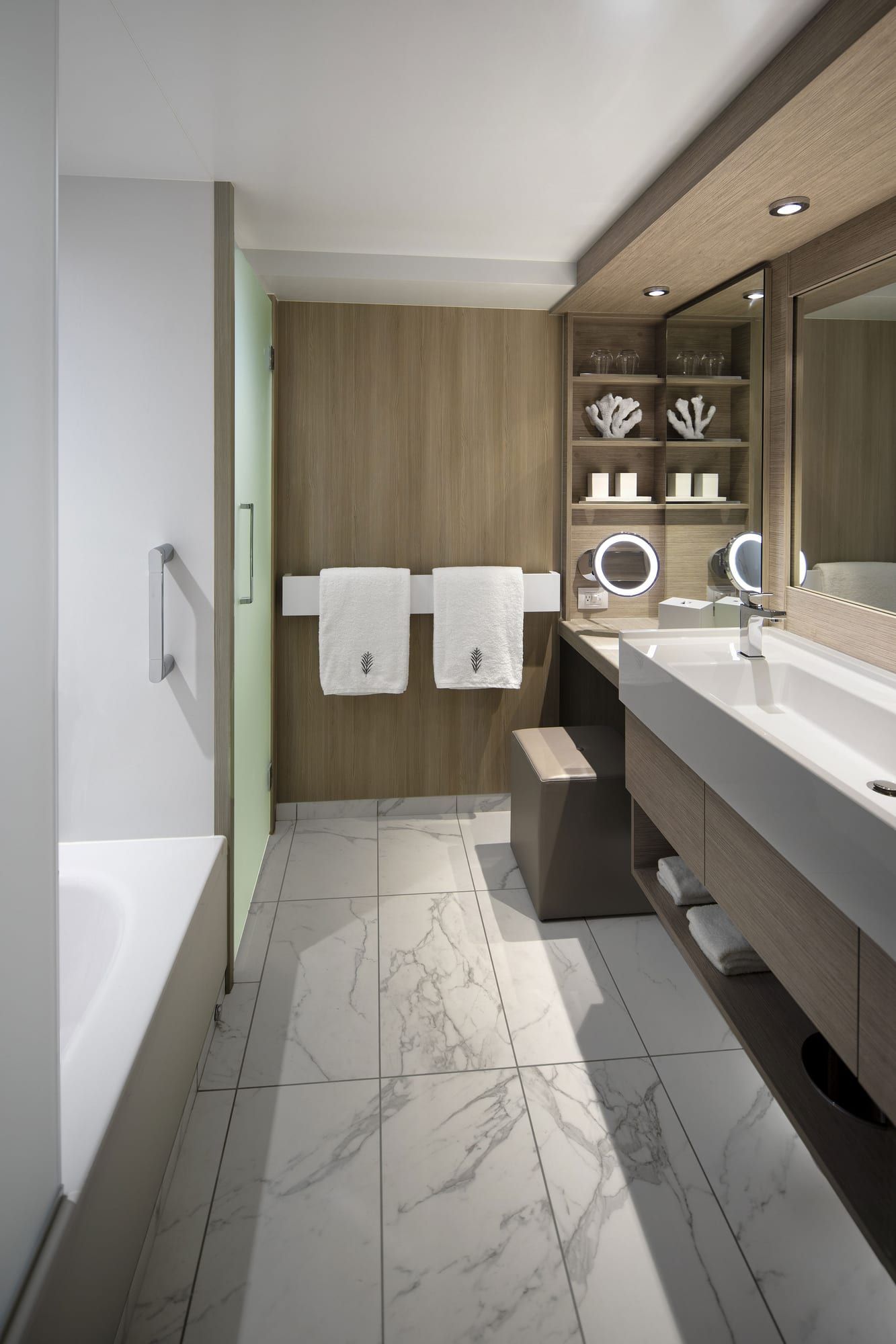 Celebrity Ascent Magic Carpet Sky Suite (MS) bathroom