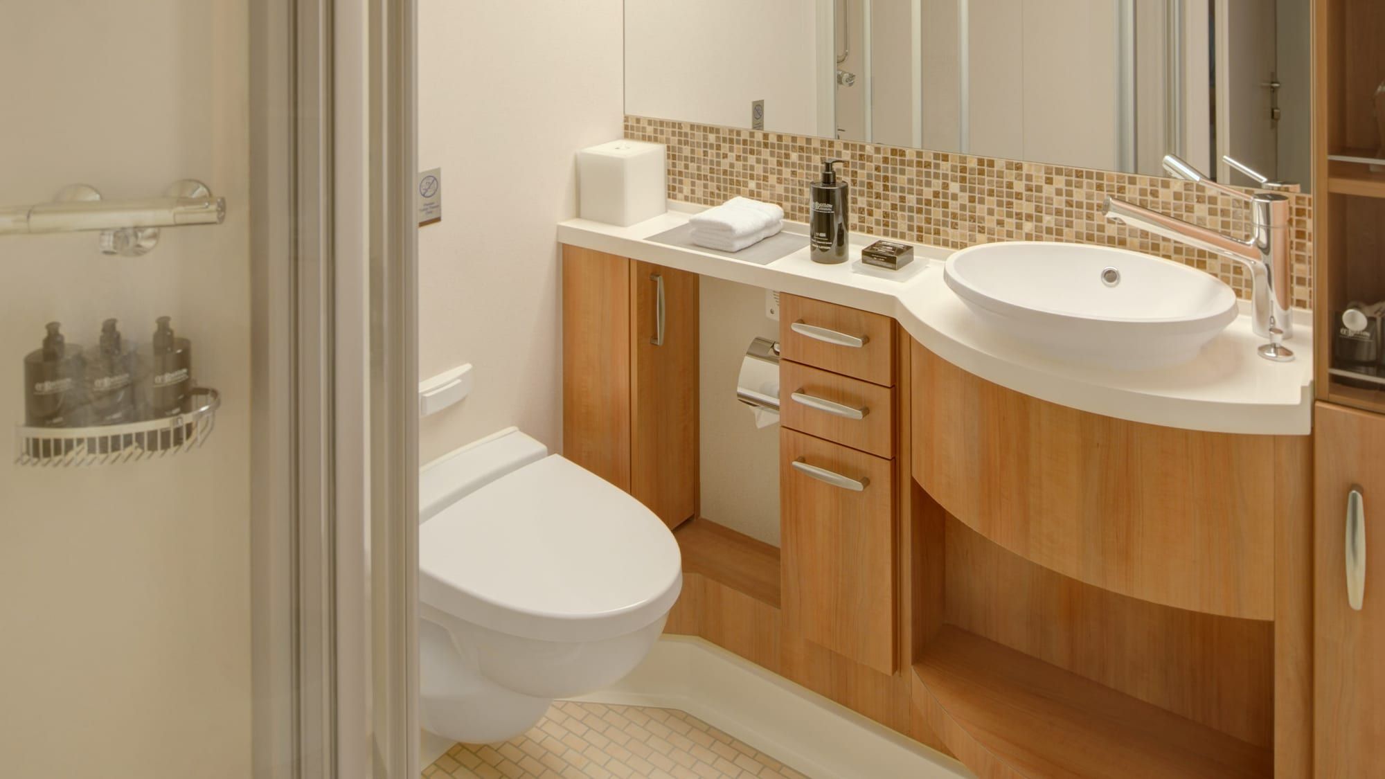 Celebrity Equinox Prime Veranda (V1) bathroom