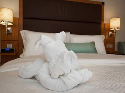 Concierge Family Oceanview Stateroom with Verandah Image 7