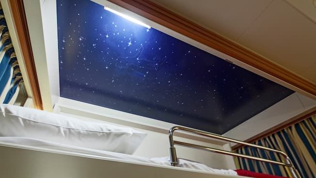 Deluxe Oceanview Stateroom with Verandah Image 5