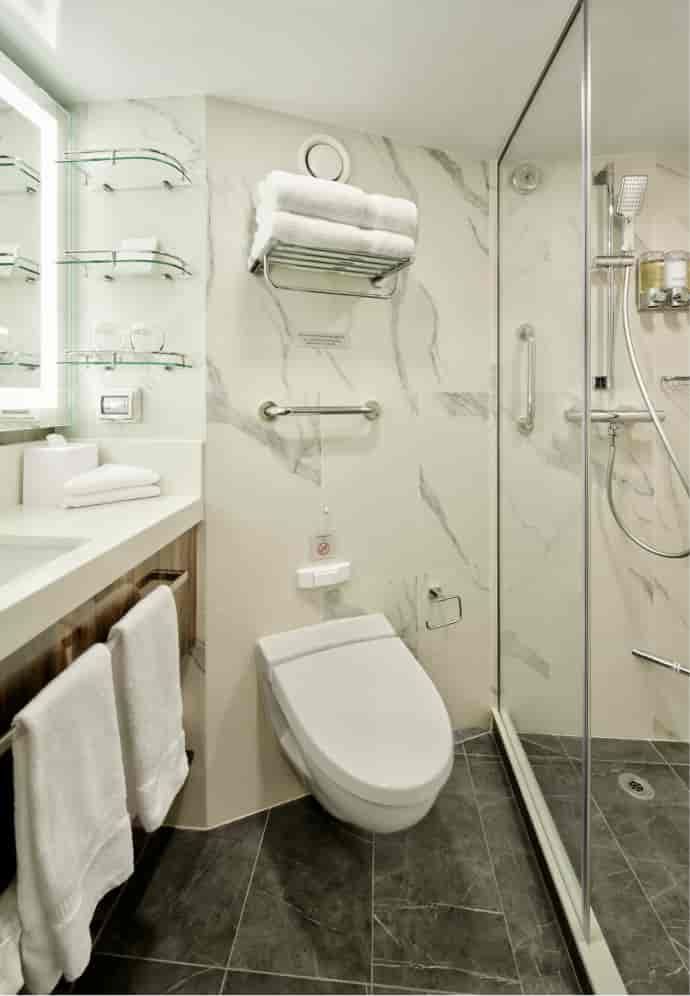 Holland America Vista Suite — bathroom