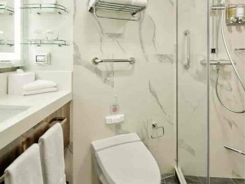 Holland America Vista Suite — bathroom