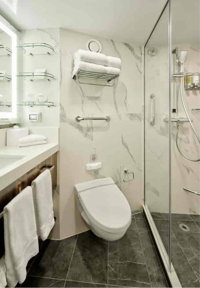 Holland America Vista Suite — bathroom