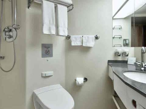 Holland America Interior — bathroom