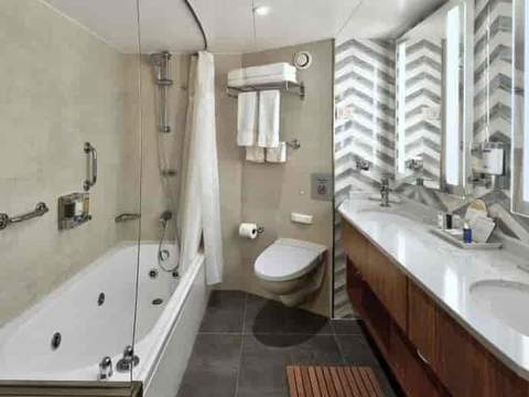 Holland America Neptune Suite — bathroom