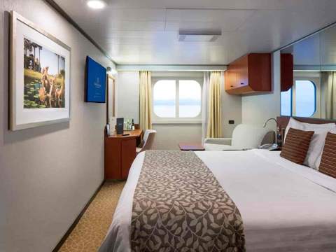 Holland America Ocean-view — stateroom
