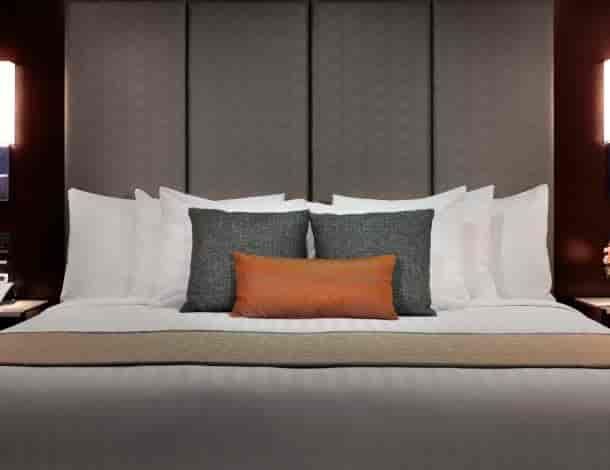 Holland America Neptune Suite — suite