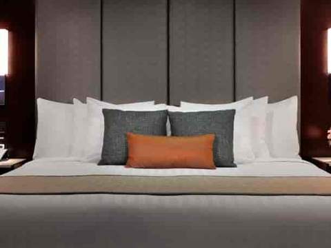 Holland America Neptune Suite — suite