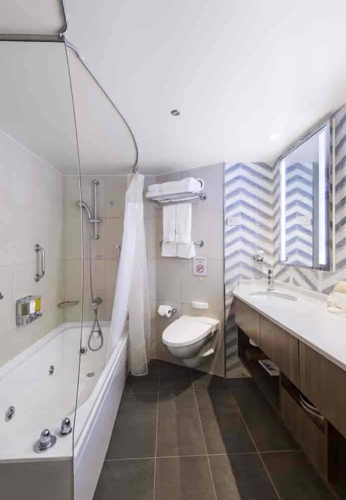 Holland America Neptune Suite — bathroom