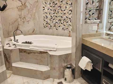 Holland America Pinnacle Suite — bathroom