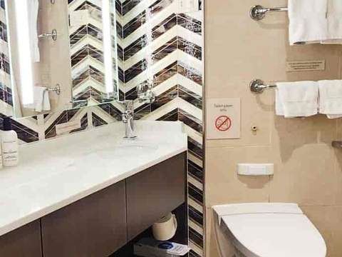Holland America Signature Suite — bathroom