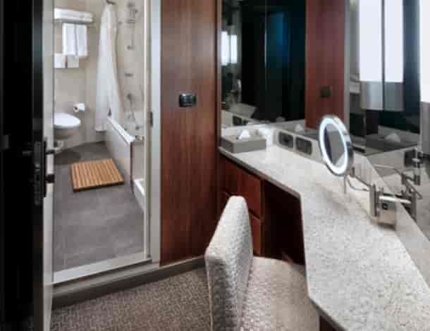 Holland America Neptune Suite — bathroom