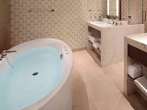 Holland America Pinnacle Suite — bathroom