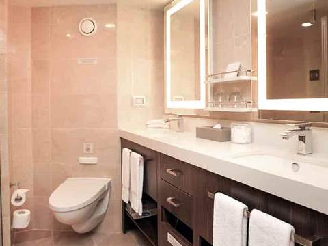 Holland America Signature Suite — bathroom