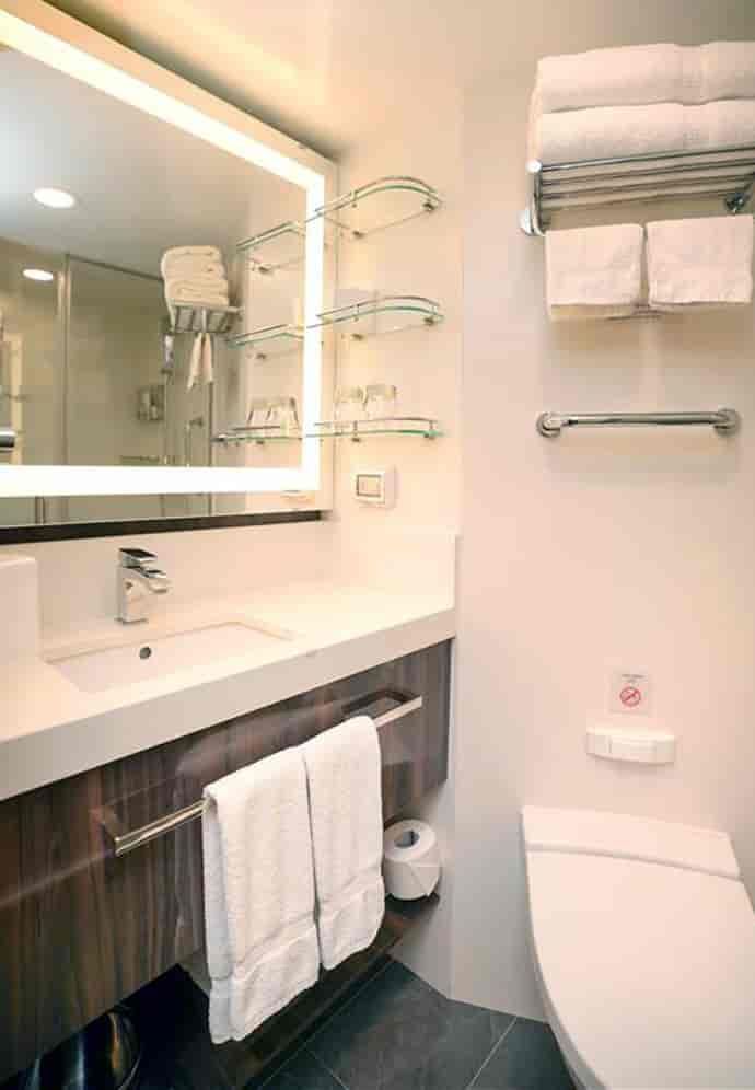 Holland America Verandah — bathroom