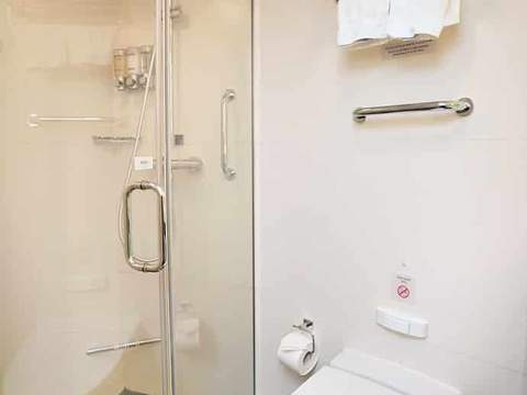 Holland America Vista Suite — bathroom