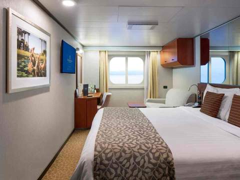 Holland America Ocean-view — stateroom