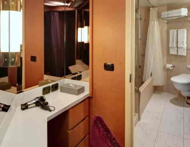 Holland America Neptune Suite — bathroom