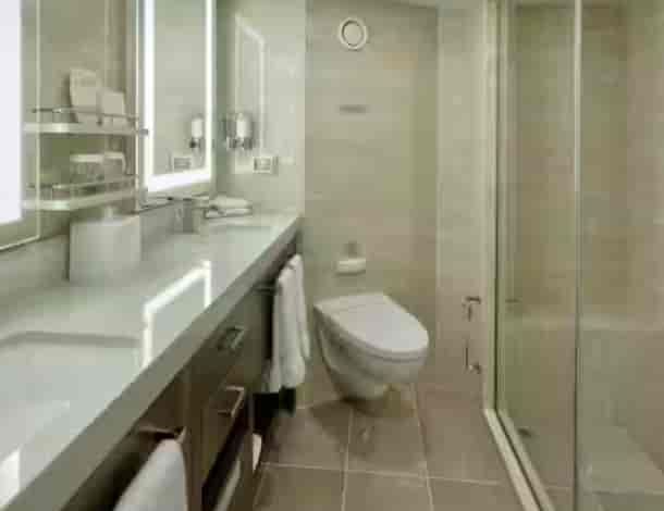 Holland America Signature Suite — bathroom