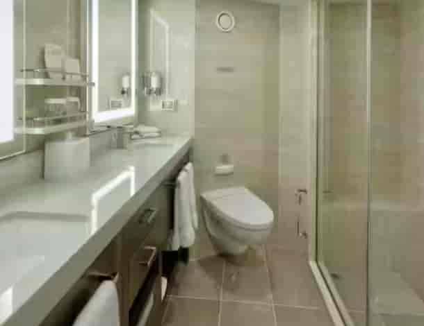 Holland America Signature Suite — bathroom