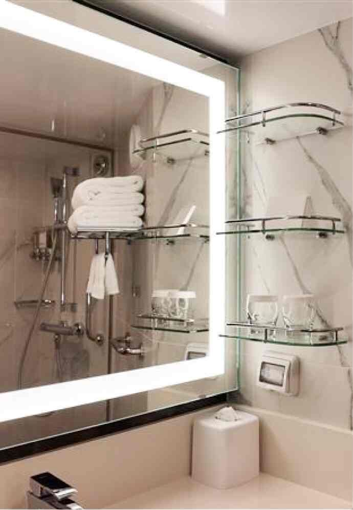 Holland America Vista Suite — bathroom