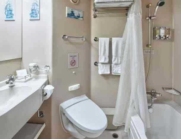 Holland America Ocean-view — stateroom