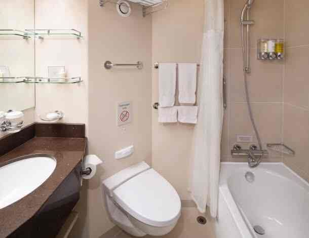 Holland America Verandah — stateroom