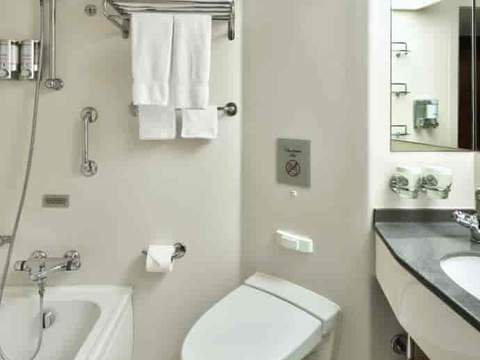 Holland America Verandah — bathroom