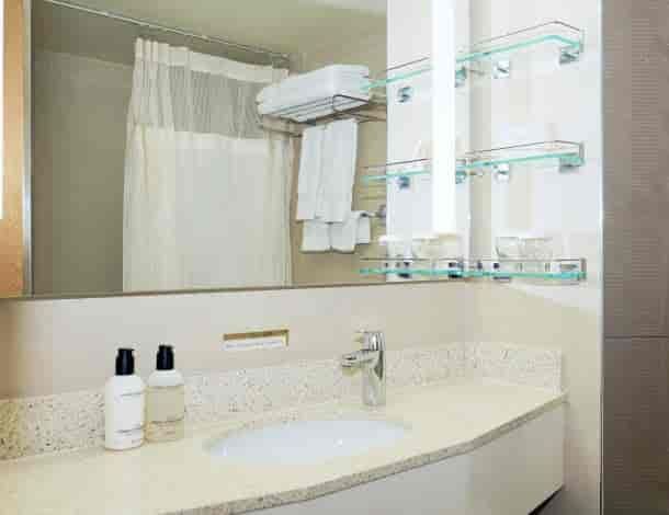 Holland America Neptune Suite — bathroom