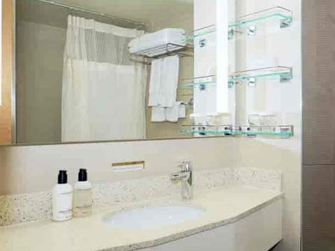 Holland America Neptune Suite — bathroom Holland America Neptune Suite — bathroom