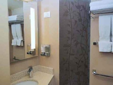 Holland America Ocean-view — bathroom